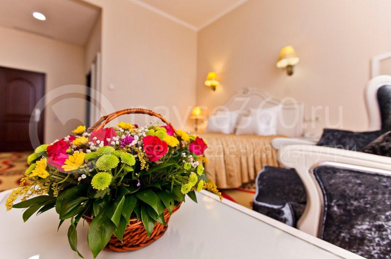 Номер в гостинице Park Hotel в Краснодаре